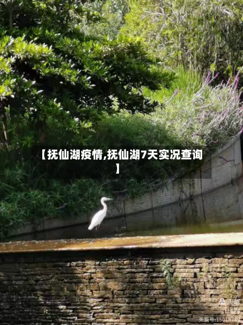 【抚仙湖疫情,抚仙湖7天实况查询】-第2张图片