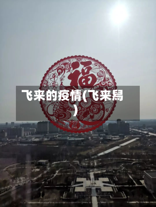 飞来的疫情(飞来舄)-第2张图片