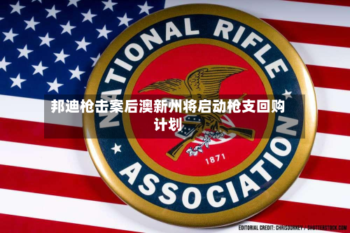 邦迪枪击案后澳新州将启动枪支回购计划-第2张图片