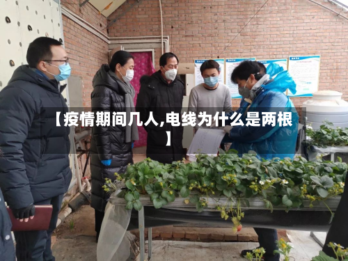 【疫情期间几人,电线为什么是两根】-第2张图片