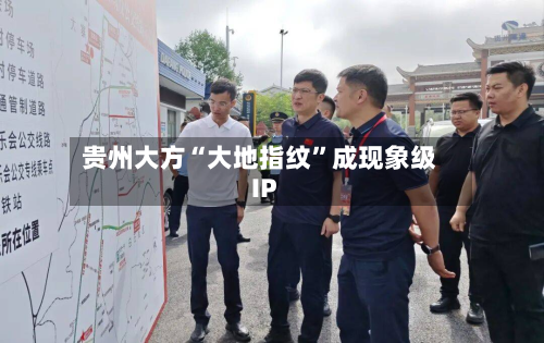 贵州大方“大地指纹”成现象级IP-第1张图片