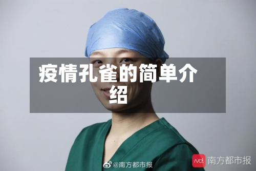 疫情孔雀的简单介绍-第2张图片