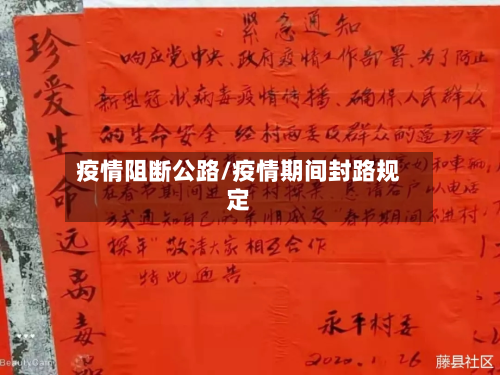 疫情阻断公路/疫情期间封路规定-第1张图片