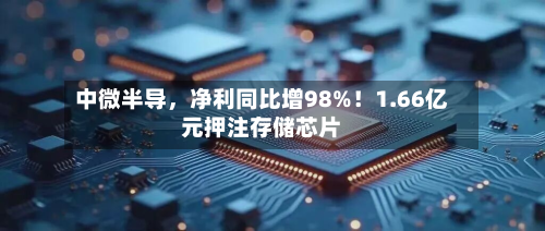 中微半导，净利同比增98%！1.66亿元押注存储芯片-第1张图片