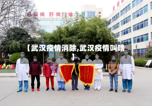 【武汉疫情消除,武汉疫情叫啥】-第1张图片