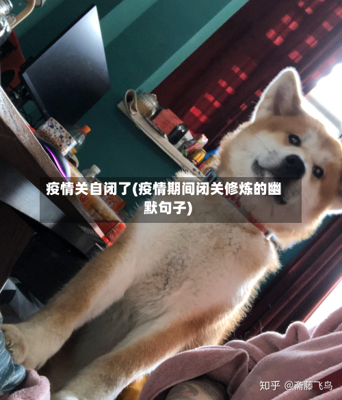 疫情关自闭了(疫情期间闭关修炼的幽默句子)-第2张图片