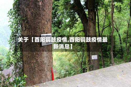 关于【酉阳铜鼓疫情,酉阳铜鼓疫情最新消息】-第2张图片