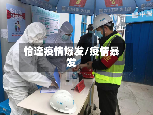 恰逢疫情爆发/疫情暴发-第2张图片