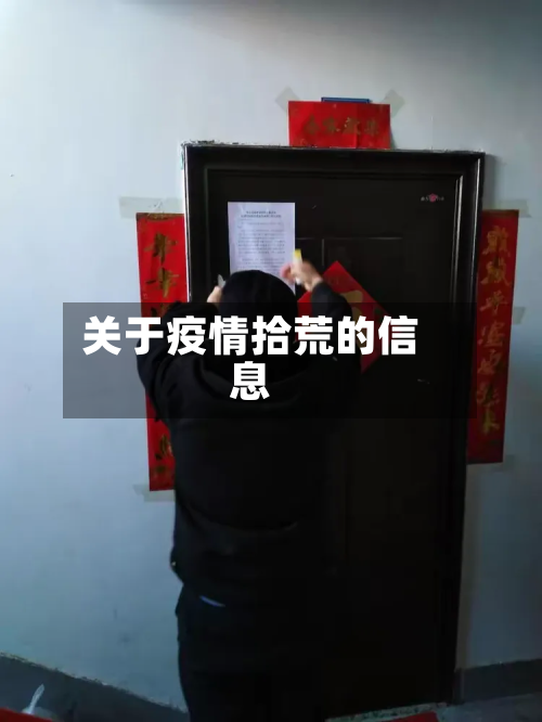 关于疫情拾荒的信息-第1张图片