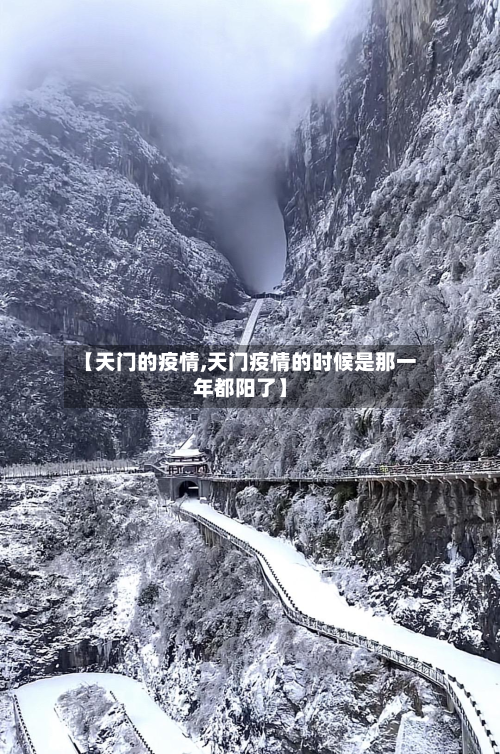 【天门的疫情,天门疫情的时候是那一年都阳了】-第1张图片