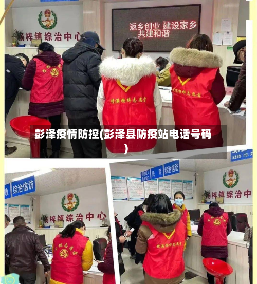 彭泽疫情防控(彭泽县防疫站电话号码)-第2张图片