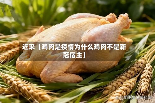 近来【鸡肉是疫情为什么鸡肉不是新冠宿主】-第1张图片