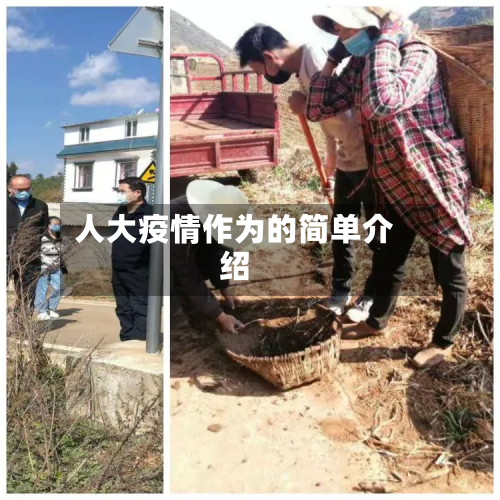 人大疫情作为的简单介绍-第1张图片