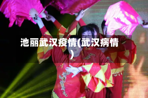 池丽武汉疫情(武汉病情)-第2张图片