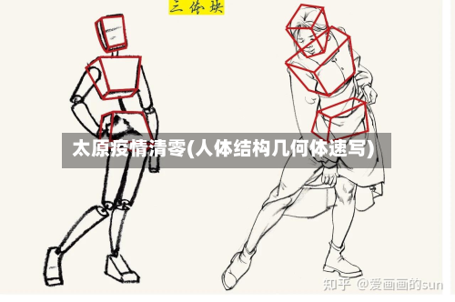 太原疫情清零(人体结构几何体速写)-第1张图片