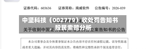 中坚科技（002779）收处罚告知书，股民索赔分析-第2张图片