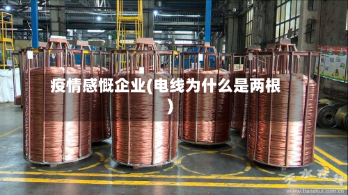 疫情感慨企业(电线为什么是两根)-第3张图片