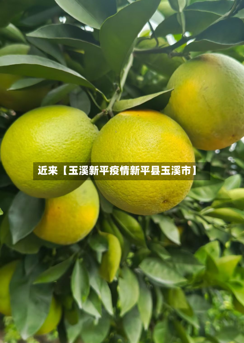 近来【玉溪新平疫情新平县玉溪市】-第2张图片