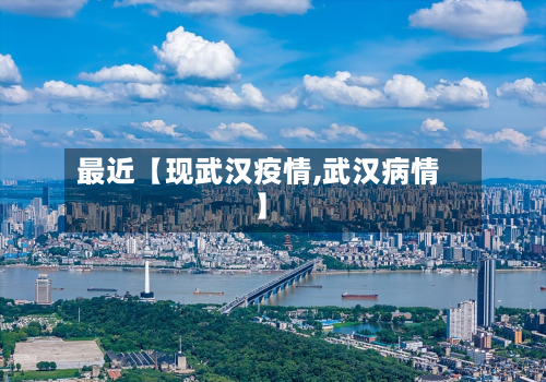最近【现武汉疫情,武汉病情】-第3张图片