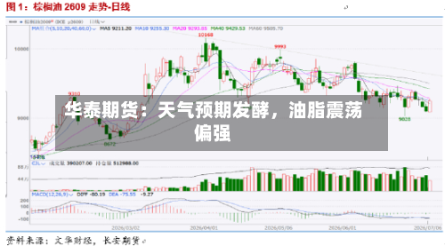 华泰期货：天气预期发酵	，油脂震荡偏强-第2张图片