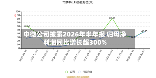 中微公司披露2026年半年报 归母净利润同比增长超300%-第1张图片
