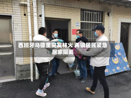 西班牙马德里突发林火 两镇居民紧急居家隔离-第1张图片