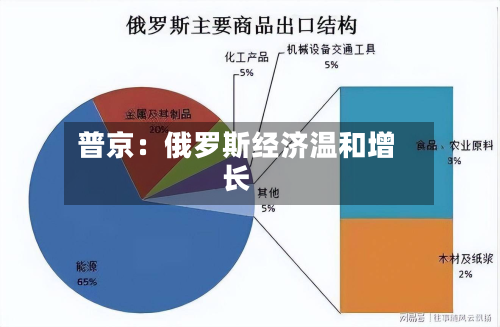 普京：俄罗斯经济温和增长-第1张图片