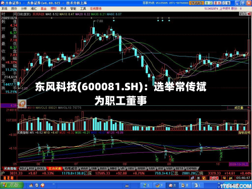 东风科技(600081.SH):选举常传斌为职工董事-第2张图片
