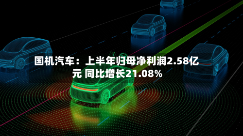 国机汽车:上半年归母净利润2.58亿元 同比增长21.08%-第3张图片