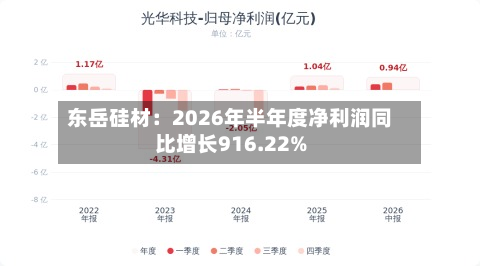 东岳硅材:2026年半年度净利润同比增长916.22%-第2张图片