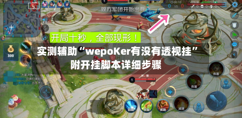实测辅助“wepoKer有没有透视挂”附开挂脚本详细步骤-第2张图片