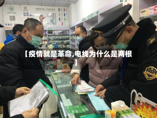 【疫情就是革命,电线为什么是两根】-第1张图片