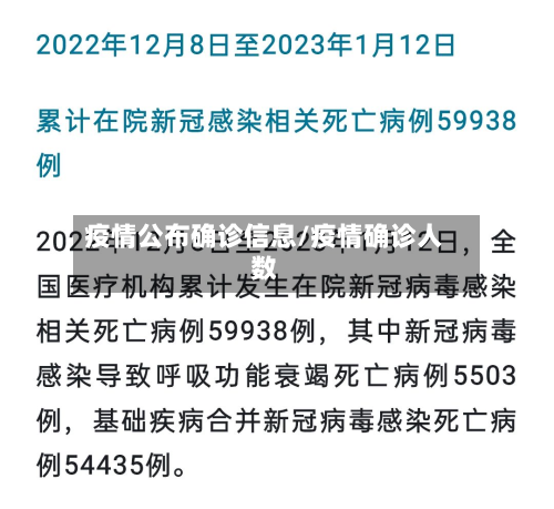 疫情公布确诊信息/疫情确诊人数-第1张图片