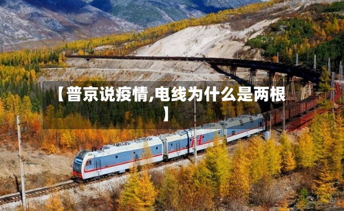 【普京说疫情,电线为什么是两根】-第3张图片