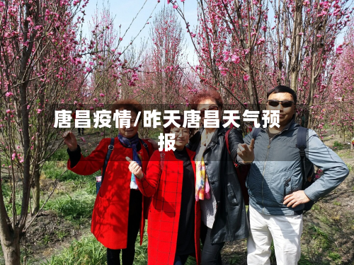 唐昌疫情/昨天唐昌天气预报-第2张图片