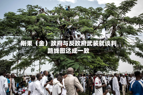 刚果（金）政府与反政府武装就谈判路线图达成一致-第1张图片