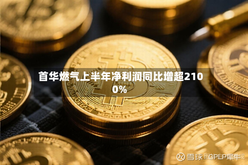 首华燃气上半年净利润同比增超2100%-第1张图片