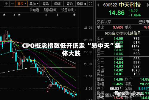 CPO概念指数低开低走 “易中天”集体大跌-第1张图片