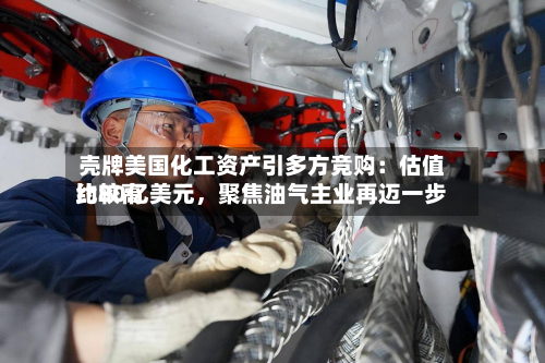 壳牌美国化工资产引多方竞购：估值比较高约80亿美元	，聚焦油气主业再迈一步-第2张图片