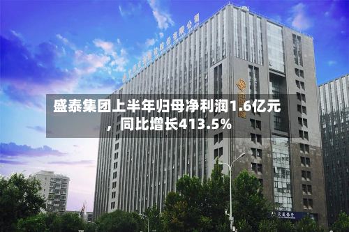 盛泰集团上半年归母净利润1.6亿元，同比增长413.5%-第3张图片