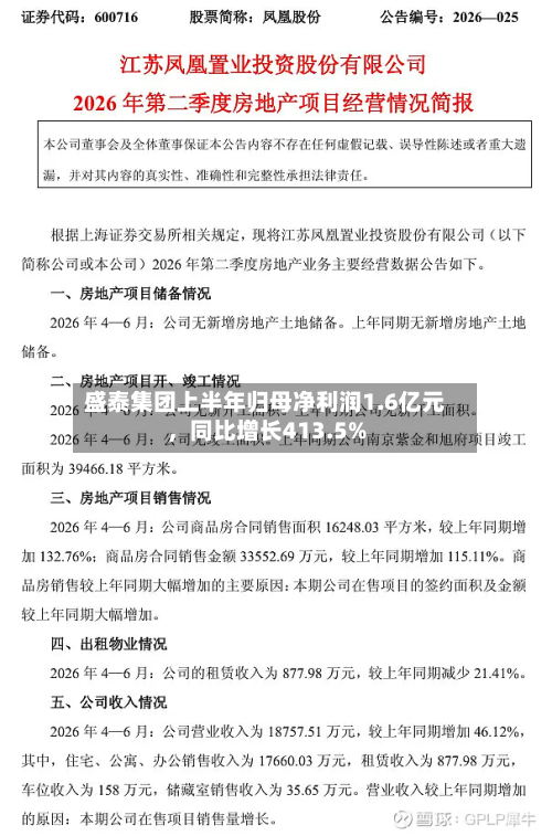 盛泰集团上半年归母净利润1.6亿元	，同比增长413.5%-第2张图片