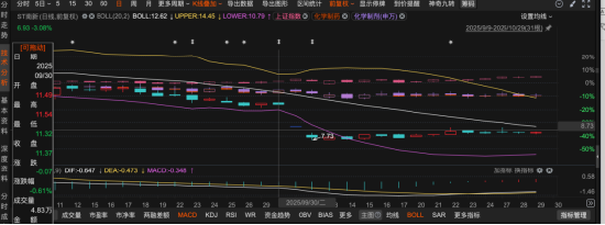 虚增利润占当期157%!南新制药2023年实际亏损却伪造成盈利 这些投资者可索赔!